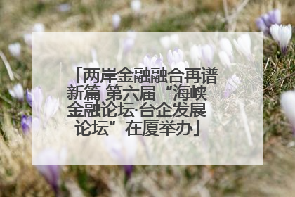 两岸金融融合再谱新篇 第六届“海峡金融论坛·台企发展论坛”在厦举办