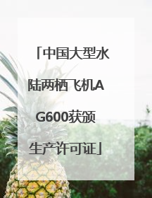中国大型水陆两栖飞机AG600获颁生产许可证
