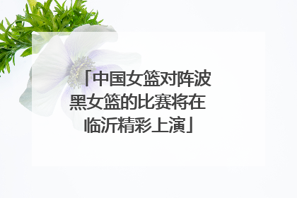 中国女篮对阵波黑女篮的比赛将在临沂精彩上演