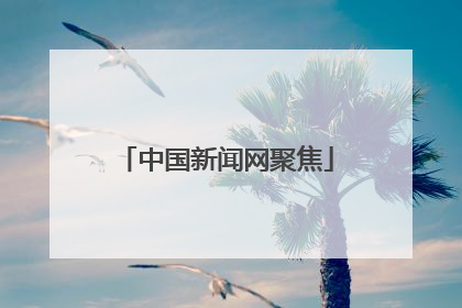 中国新闻网聚焦