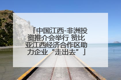 中国江西-非洲投资推介会举行 赞比亚江西经济合作区助力企业“走出去”