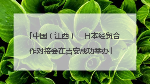 中国（江西）—日本经贸合作对接会在吉安成功举办