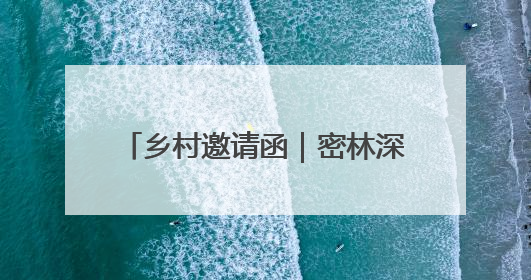 乡村邀请函｜密林深处“羊咩咩”，这个小山村如何逆袭？