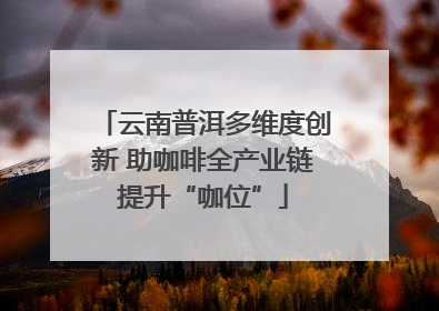 云南普洱多维度创新 助咖啡全产业链提升“咖位”