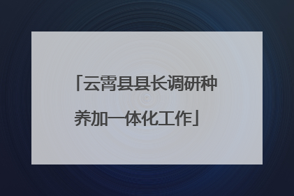 云霄县县长调研种养加一体化工作