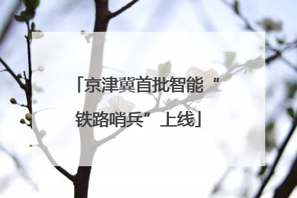 京津冀首批智能“铁路哨兵”上线