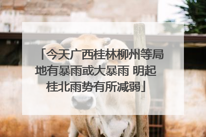 今天广西桂林柳州等局地有暴雨或大暴雨 明起桂北雨势有所减弱