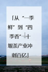 从“一季鲜”到“四季香” 十堰茶产业冲刺百亿