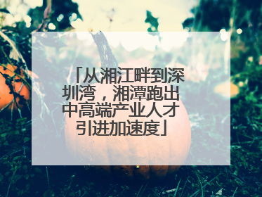 从湘江畔到深圳湾，湘潭跑出中高端产业人才引进加速度