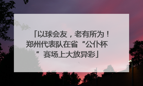 以球会友，老有所为！郑州代表队在省“公仆杯”赛场上大放异彩