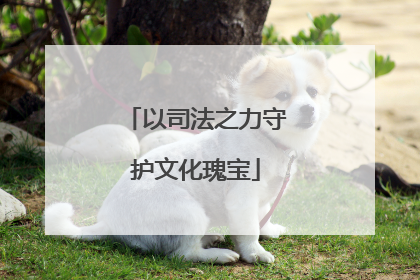 以司法之力守护文化瑰宝