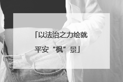 以法治之力绘就平安“枫”景