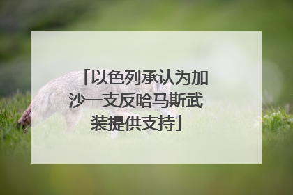 以色列承认为加沙一支反哈马斯武装提供支持