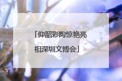 仰韶彩陶惊艳亮相深圳文博会
