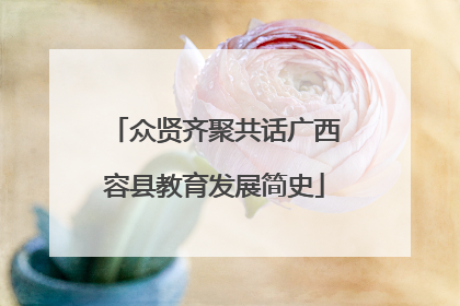 众贤齐聚共话广西容县教育发展简史