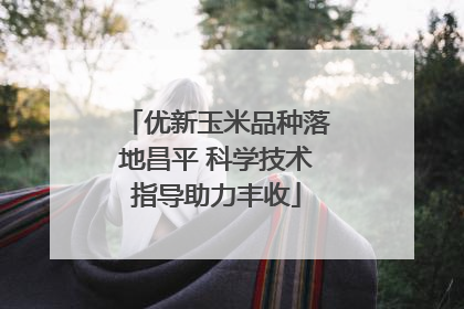 优新玉米品种落地昌平 科学技术指导助力丰收