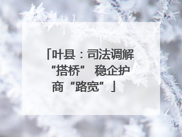 叶县：司法调解“搭桥” 稳企护商“路宽”