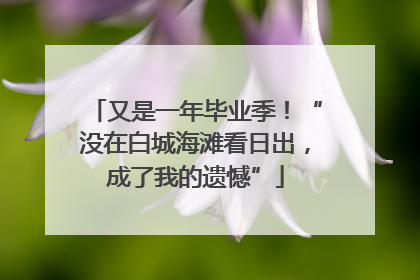 又是一年毕业季！“没在白城海滩看日出，成了我的遗憾”
