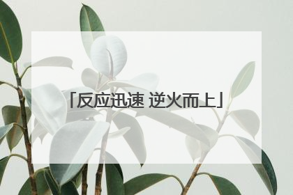 反应迅速 逆火而上