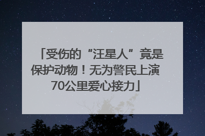 受伤的“汪星人”竟是保护动物！无为警民上演70公里爱心接力