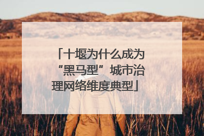 十堰为什么成为“黑马型”城市治理网络维度典型