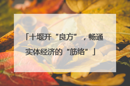 十堰开“良方”，畅通实体经济的“筋络”