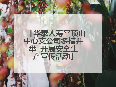 华泰人寿平顶山中心支公司多措并举  开展安全生产宣传活动