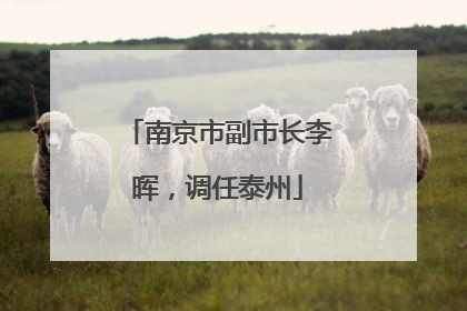 南京市副市长李晖，调任泰州