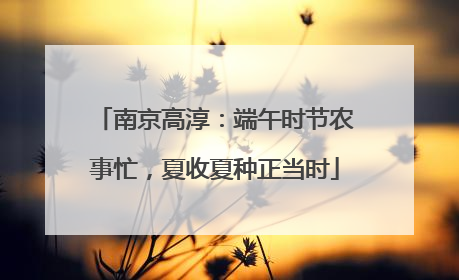 南京高淳：端午时节农事忙，夏收夏种正当时
