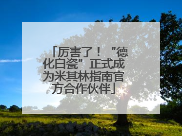 厉害了！“德化白瓷”正式成为米其林指南官方合作伙伴