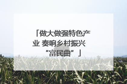 做大做强特色产业 奏响乡村振兴“富民曲”
