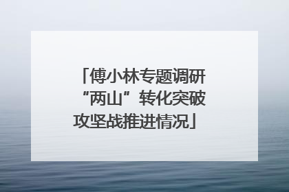 傅小林专题调研“两山”转化突破攻坚战推进情况
