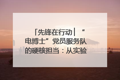 先锋在行动 ▏“电博士”党员服务队的硬核担当：从实验室到抗洪一线