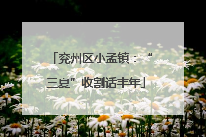 兖州区小孟镇：“三夏”收割话丰年