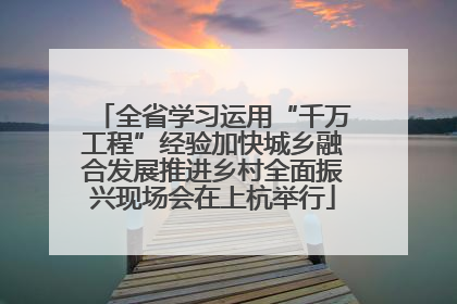 全省学习运用“千万工程”经验加快城乡融合发展推进乡村全面振兴现场会在上杭举行