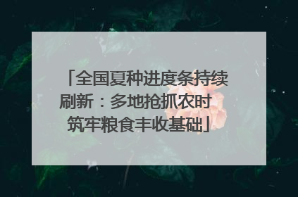 全国夏种进度条持续刷新：多地抢抓农时 筑牢粮食丰收基础