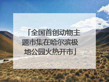 全国首创动物主题市集在哈尔滨极地公园火热开市