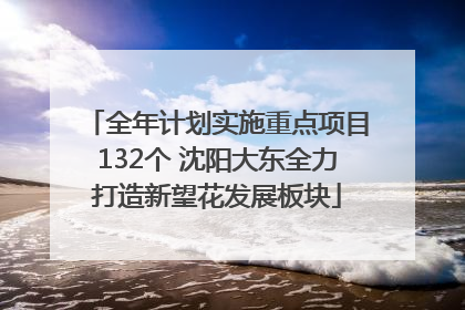 全年计划实施重点项目132个 沈阳大东全力打造新望花发展板块