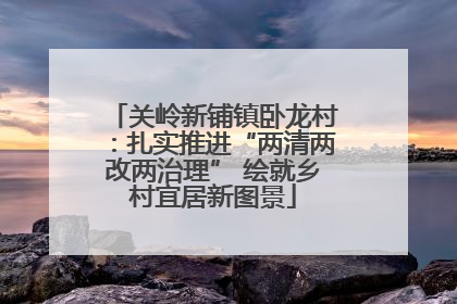 关岭新铺镇卧龙村：扎实推进“两清两改两治理” 绘就乡村宜居新图景
