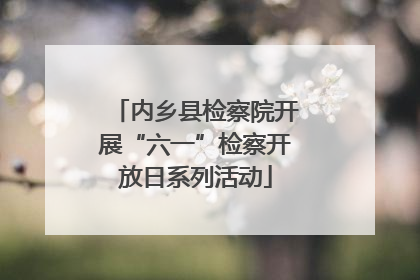 内乡县检察院开展“六一”检察开放日系列活动