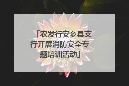 农发行安乡县支行开展消防安全专题培训活动