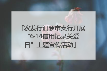 农发行汨罗市支行开展“6·14信用记录关爱日”主题宣传活动