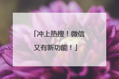 冲上热搜！微信又有新功能！