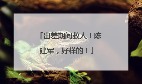 出差期间救人！陈建军，好样的！