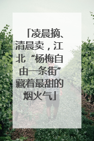 凌晨摘、清晨卖，江北“杨梅自由一条街”藏着最甜的烟火气