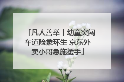 凡人善举丨幼童突闯车道险象环生 京东外卖小哥急施援手