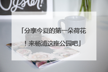 分享今夏的第一朵荷花！来杨浦这座公园吧