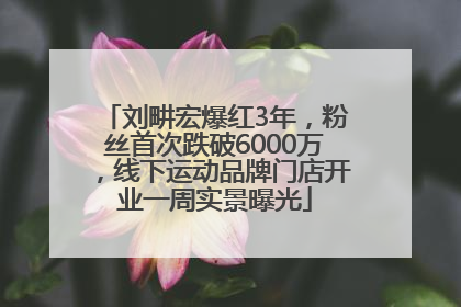 刘畊宏爆红3年，粉丝首次跌破6000万，线下运动品牌门店开业一周实景曝光