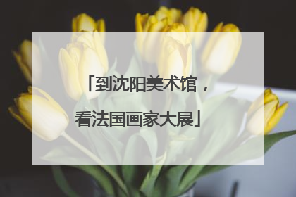 到沈阳美术馆，看法国画家大展