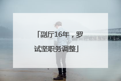 副厅16年，罗试坚职务调整